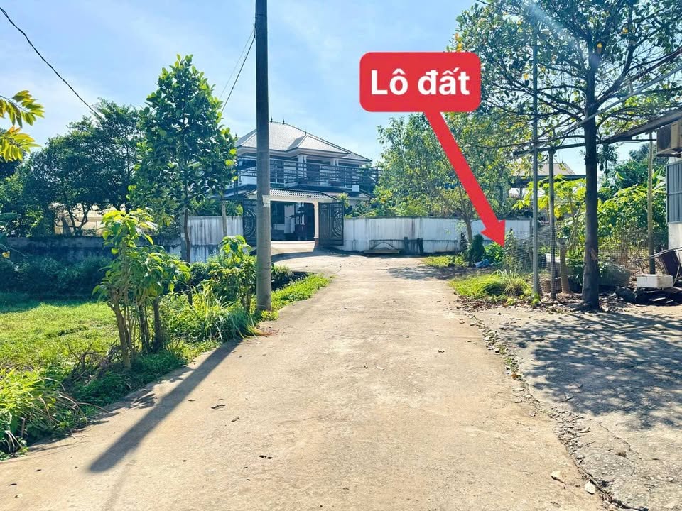 Đất thổ cư 100m² tại Long Cương, Lập Thạch chỉ 1.6 tỷ - Vị trí đắc địa gần chợ!