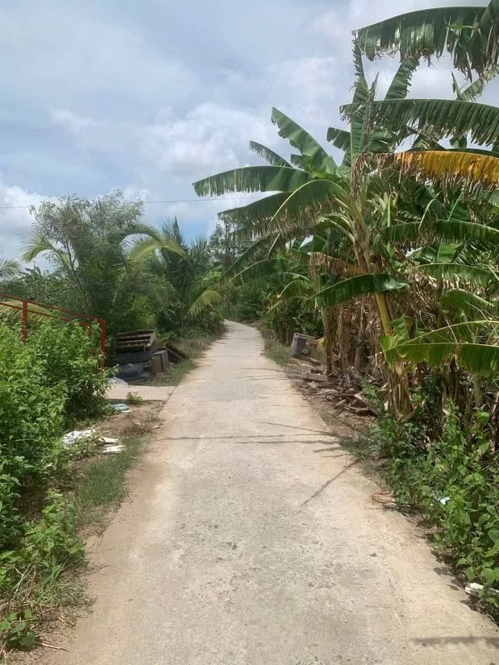 Đất mặt tiền 9m x 60m tại khóm 1, phường 1, Bạc Liêu - Giá chỉ 999 triệu!