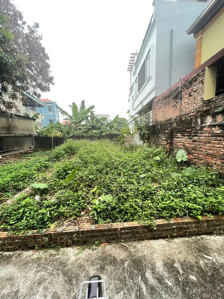 Lô đất vàng Đặng Xá - Gia Lâm 63m² chỉ 3 tỷ - Đầu tư sinh lời ngay!