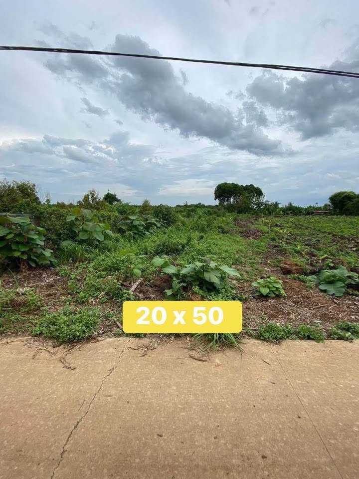 Đất nền Phú Hòa - Định Quán 1000m² giá 520 triệu - Sổ đỏ chính chủ, thích hợp đầu tư!