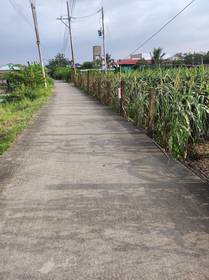 Đất Thổ cư 2500m² Phú Ngãi Trị, Châu Thành, Long An - Giá 5.5 tỷ, Pháp lý chuẩn!