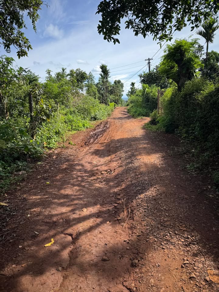 Đất thổ cư tại phường Buôn Hồ 322m² giá 1.66 tỷ - Cơ hội đầu tư hấp dẫn!