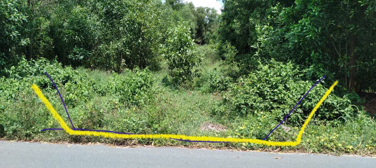 Đất nền Bà Rịa - Vũng Tàu 444m² giá đầu tư - Cơ hội sinh lời hấp dẫn!