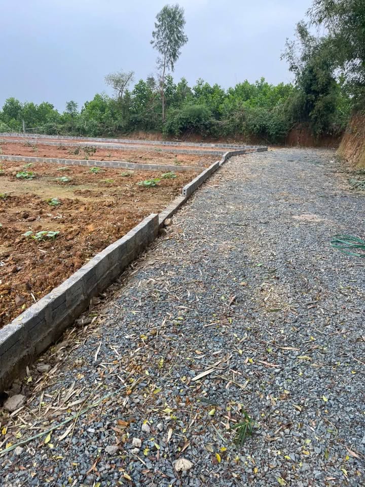 Đất nền 150m² tại Đông Xuân, Quốc Oai - Cơ hội đầu tư hiếm có!