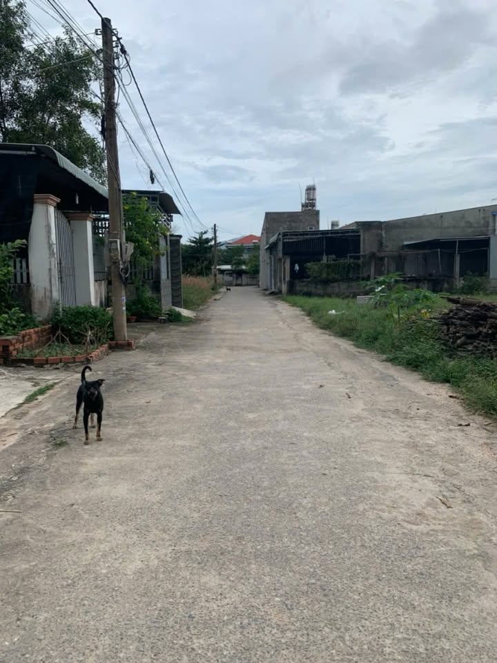 Đất nền Phú Mỹ, TPHCM 210m² giá chỉ 2.65 tỷ - Vị trí đẹp, đầu tư sinh lời!