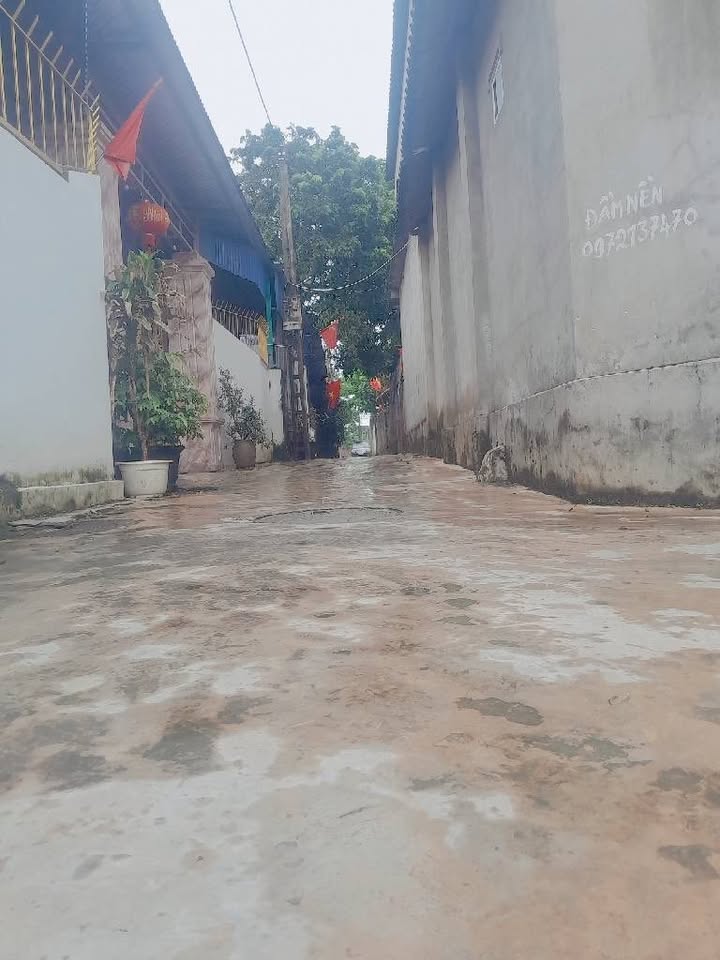 Lô đất Tiên Dược, Sóc Sơn 80m² giá 3.15 tỷ - Sổ hồng chính chủ, ô tô vào tận nơi!