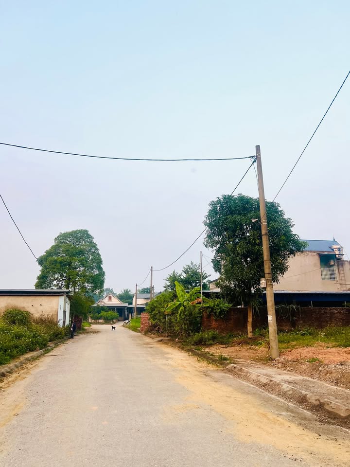 Đất tái định cư Hồng Tiến, Phổ Yên 150m² chỉ 1.65 tỷ - Cơ hội đầu tư sinh lời!