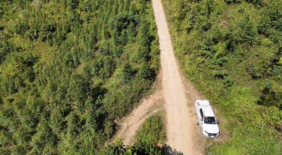 Đất rừng 7 héc-ta tại Sảng Mộc, Võ Nhai - Đầu tư sinh lời bền vững!