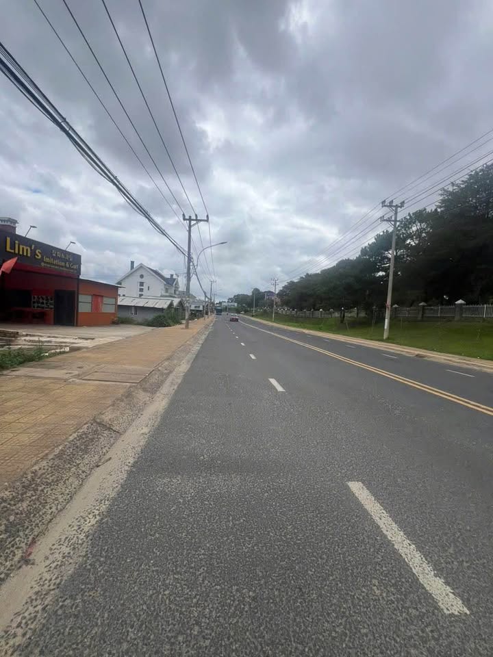 Đất 2 mặt tiền đường Mai Anh Đào, Đà Lạt 733m² giá 46 tỷ - Cơ hội đầu tư lớn!