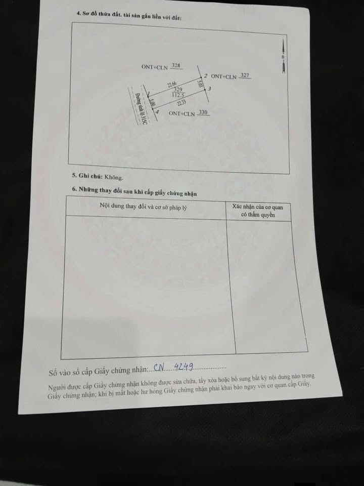 Đất nền đầu tư khu Hoa Hậu, Lam Sơn, Tam Nông 113m² giá chỉ 800 triệu - Cơ hội hiếm có!