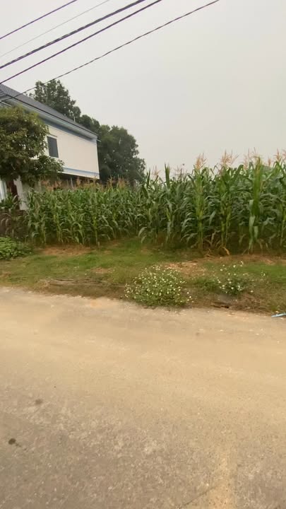 Đất nền Hà Lộc 200m² giá 2 tỷ - Đầu tư sinh lời ngay!