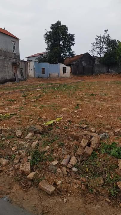 Đất nền Ngọc Thành 1, Hoàng Vân 100m² giá chỉ 550 triệu - Cơ hội đầu tư hấp dẫn!