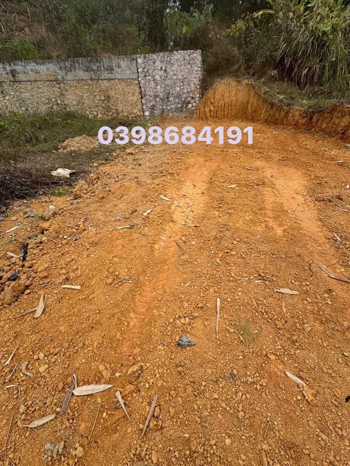 Đất nền Ngọc Xuân 137m² giá chỉ 550 triệu - Cơ hội đầu tư hấp dẫn!