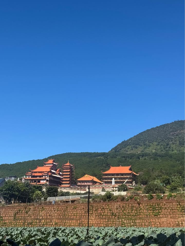 Đất nền Hiệp Thạnh 150m² giá 1.785 tỷ - Gần chùa Quan Thế Âm!