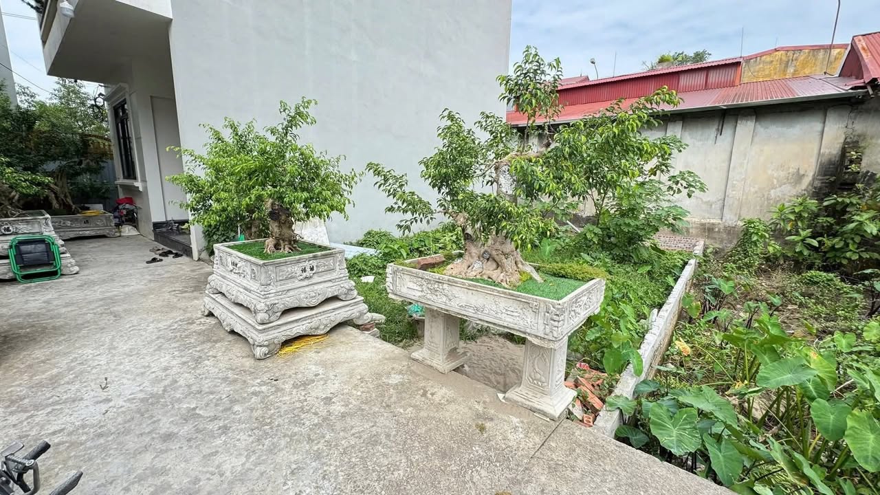 Đất nền Tỉnh lộ 427, Thanh Oai 63m² chỉ 4.401 tỷ - Cơ hội đầu tư tuyệt vời!