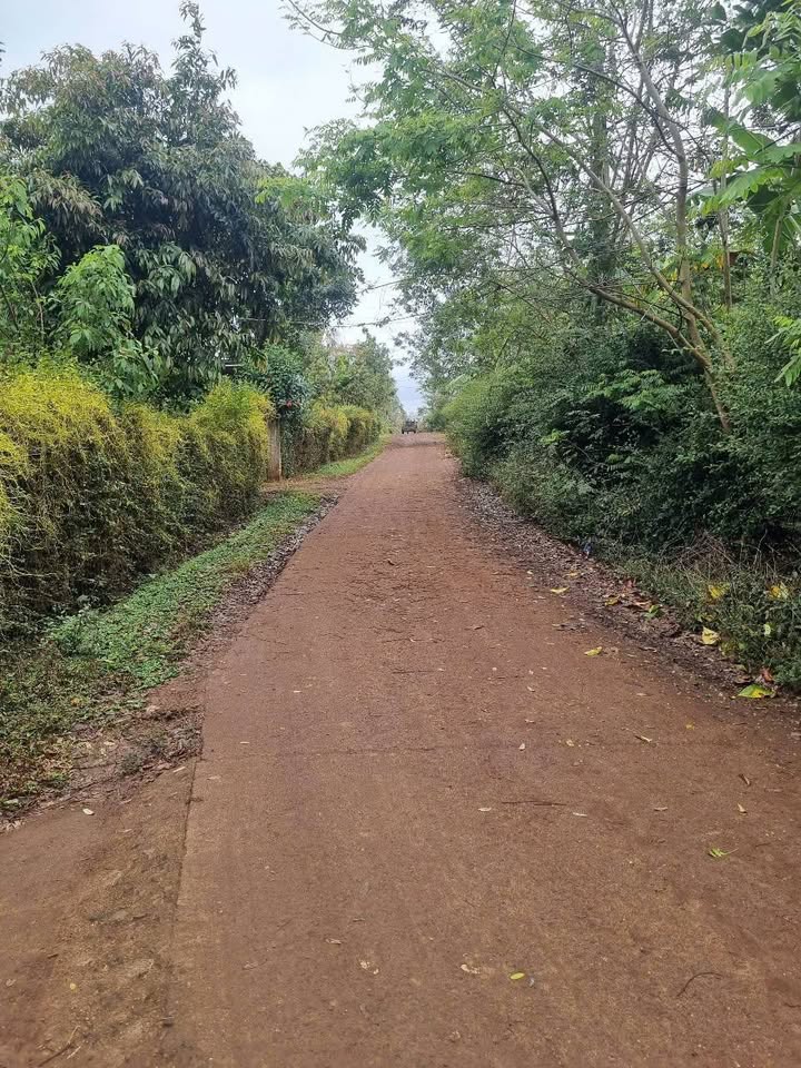 Đất nền Cư Kuin 451m² giá 899 triệu - Cơ hội đầu tư không thể bỏ lỡ!