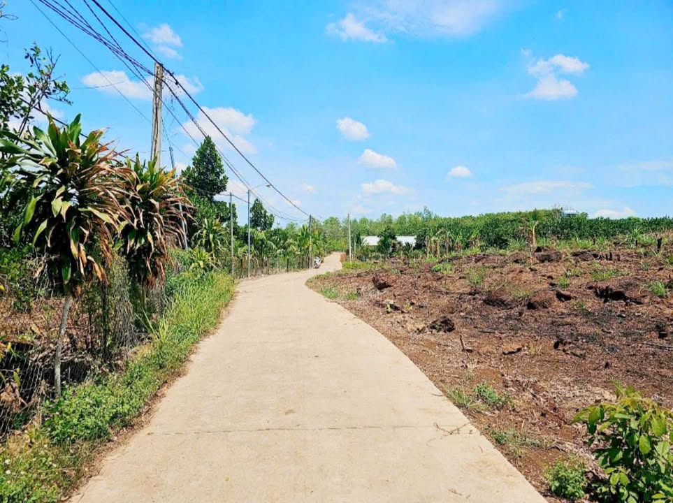 Đất nền Phú Hòa, Định Quán, Đồng Nai 3600m² giá 520 triệu - Cơ hội vàng đầu tư!