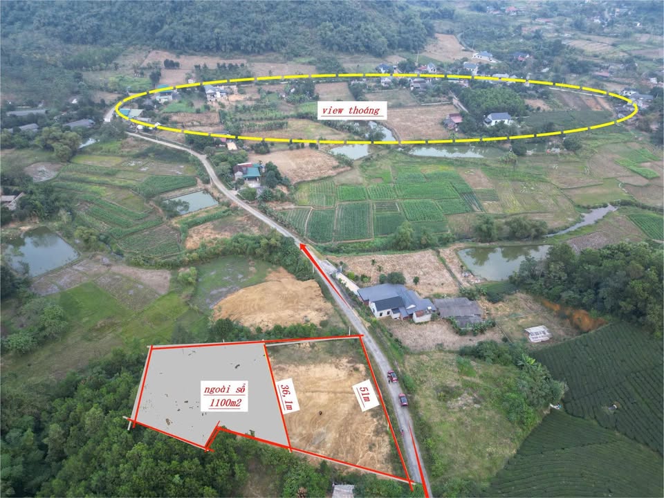 Đất nền 2.500m² tại Địch Quả, Thanh Sơn - Giá chỉ 1 tỷ - Đầu tư sinh lời lý tưởng!