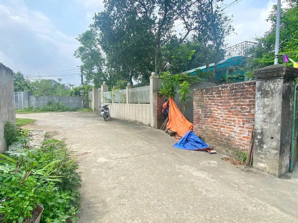 Đất nền Nhuận Trạch, Lương Sơn 115m² giá thỏa thuận - Đầu tư tiềm năng ngay hôm nay!