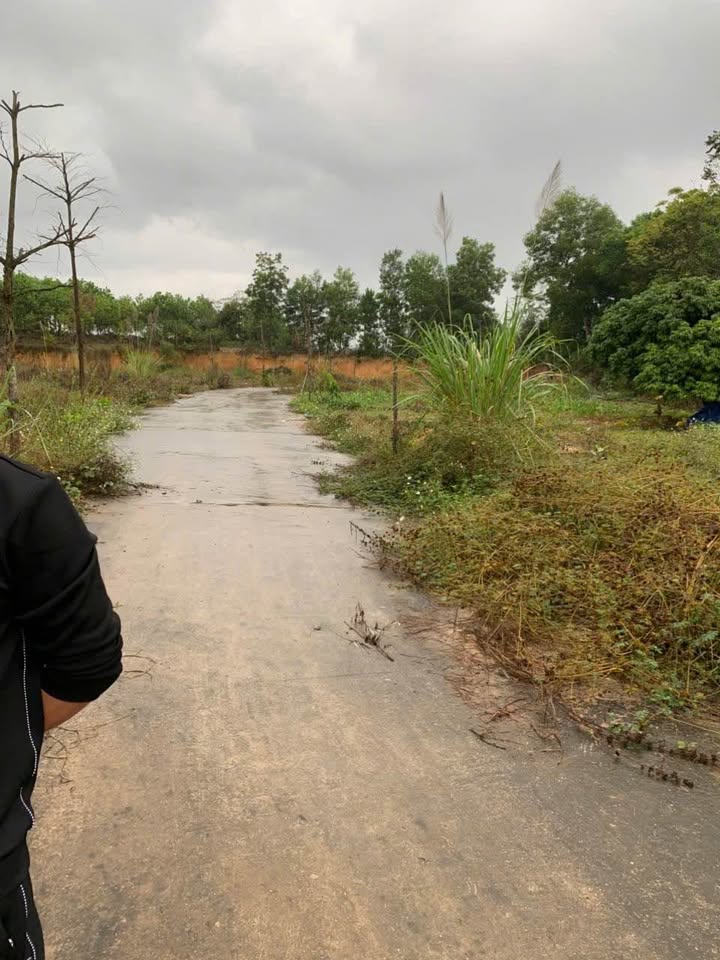 Đất Tân Cương Thái Nguyên 190m² giá 800 triệu - Đầu tư sinh lời ngay!