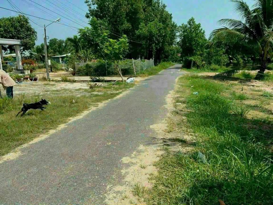 Đất Hẻm 7 Nguyễn Văn Cừ, Hoà Thành, Tây Ninh 350m² giá 1.4 tỷ - Chính chủ bán gấp!