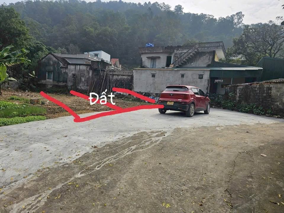 Đất nền 100m² tại An Lão, Bình Lục giá 300 triệu - Sổ đỏ chính chủ ngay!