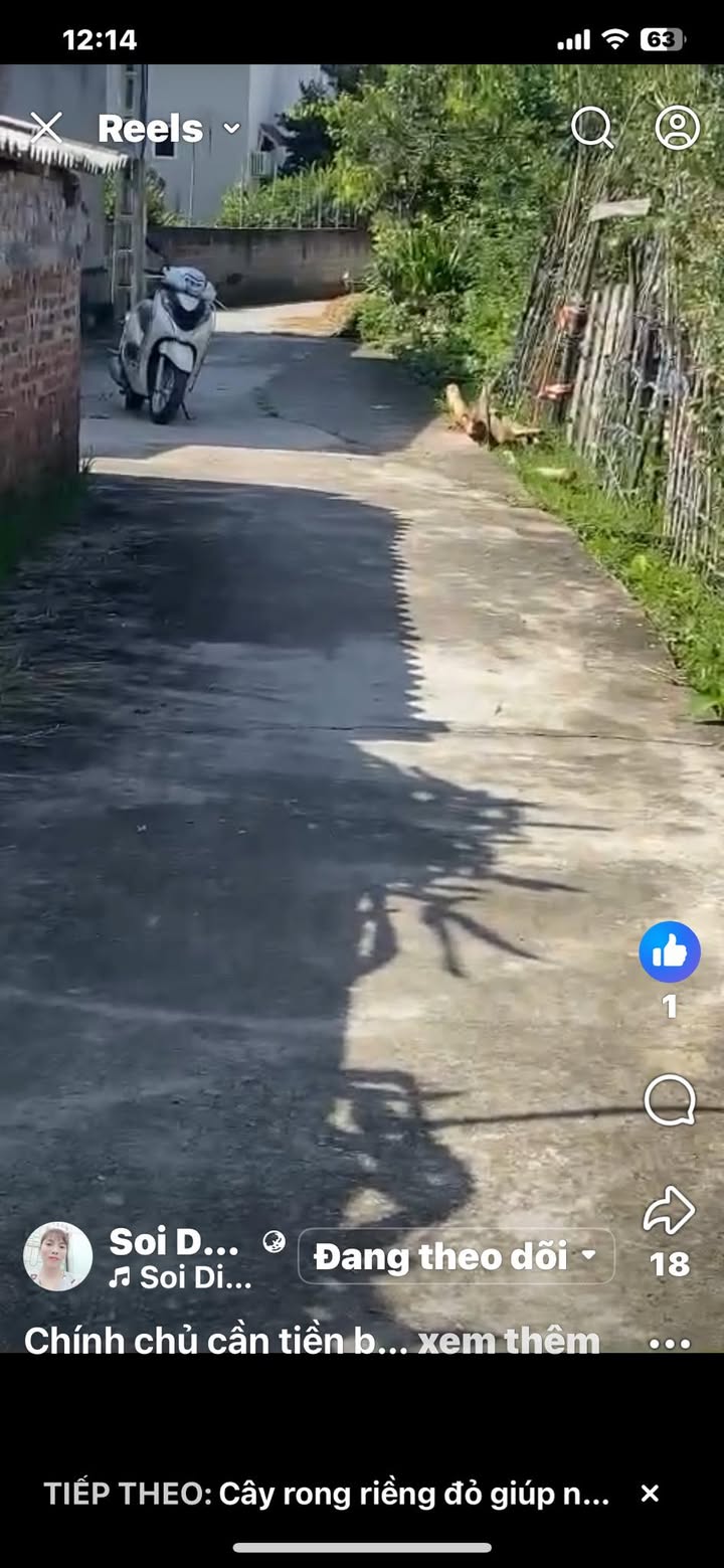 Đất liền kề Long Xuyên, Bình Giang 228m² giá 900 triệu - Cơ hội đầu tư hấp dẫn!