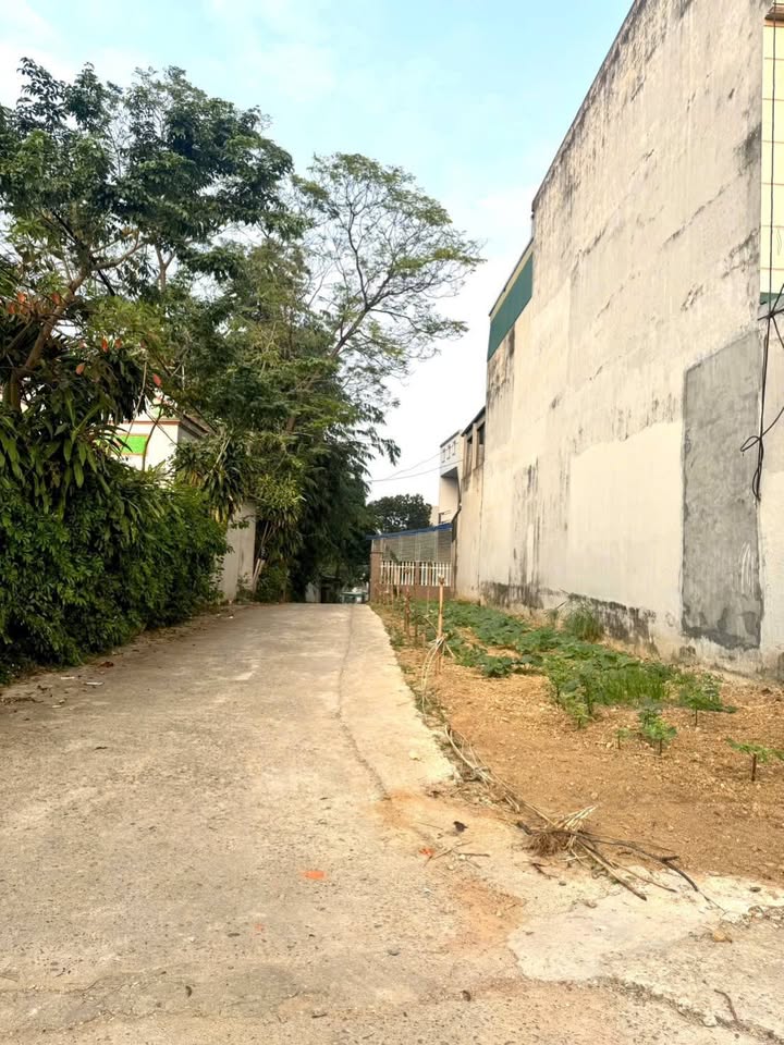 Đất nền Vân Phú, Việt Trì 80m² giá 1.1 tỷ - Đầu tư sinh lời ngay!