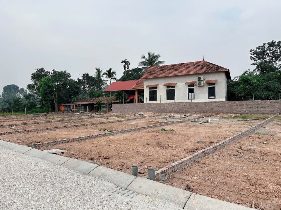 Đất nền Tử Du, Lập Thạch, Vĩnh Phúc 100m² - Cơ hội đầu tư sinh lời!