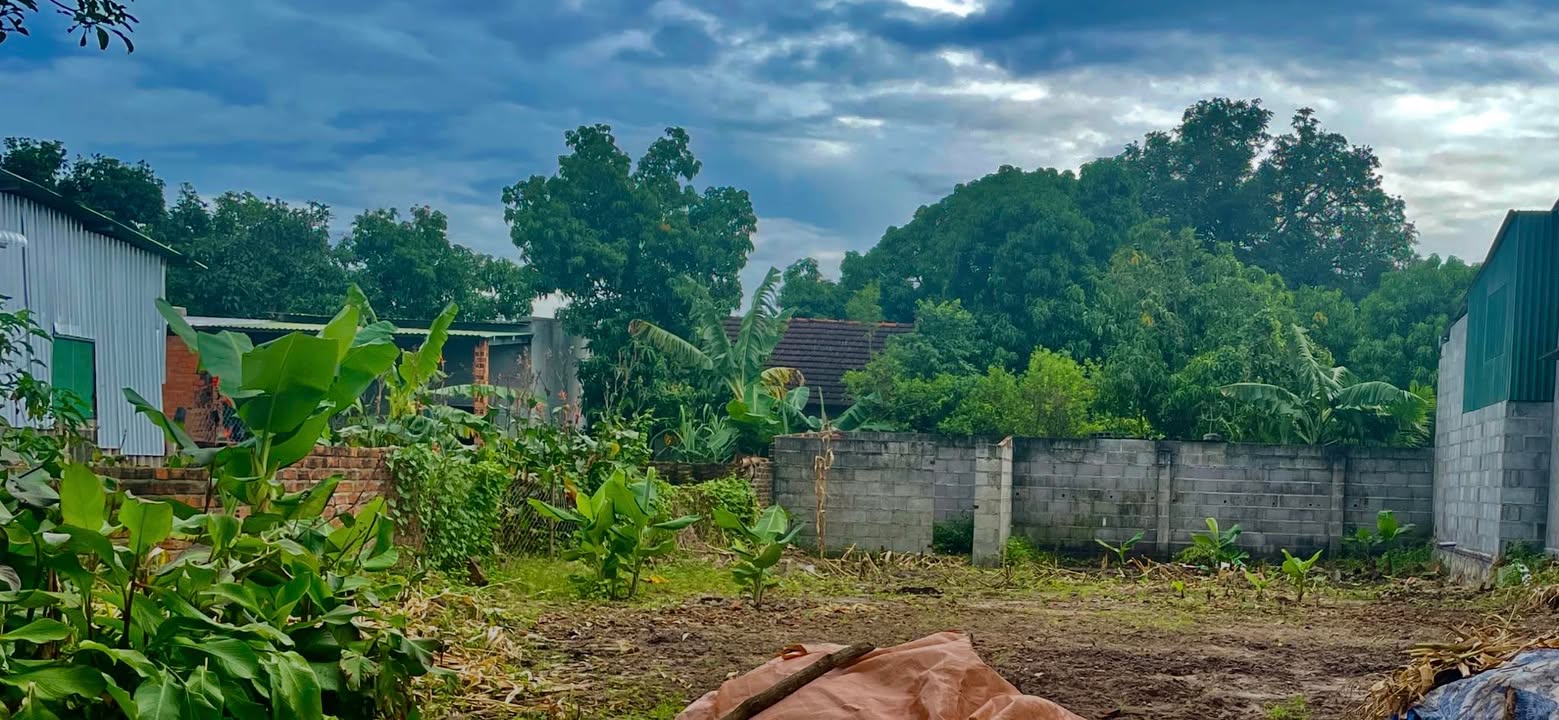 Đất nền Cam Hòa Cam Lâm 300m² giá 2.1 tỷ - Đầu tư sinh lời ngay!