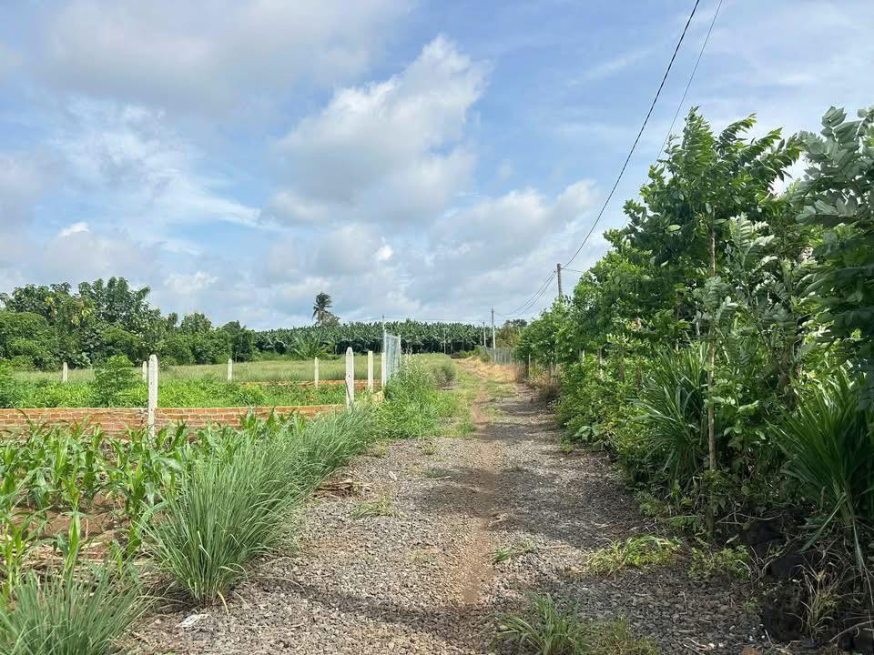 Đất nền 1000m² xã Phú Hòa, Định Quán - Giá chỉ 465 triệu, sổ hồng riêng!