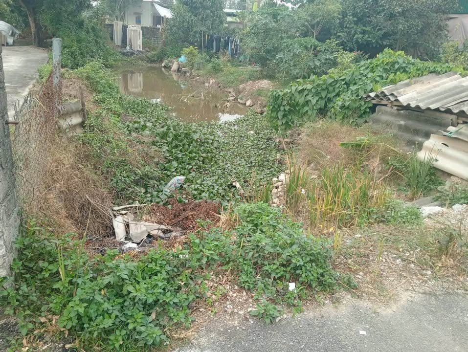 Đất thổ cư Thôn Ba, Thanh Phong 135m² chỉ 1.4 tỷ - Nơi an cư lý tưởng!