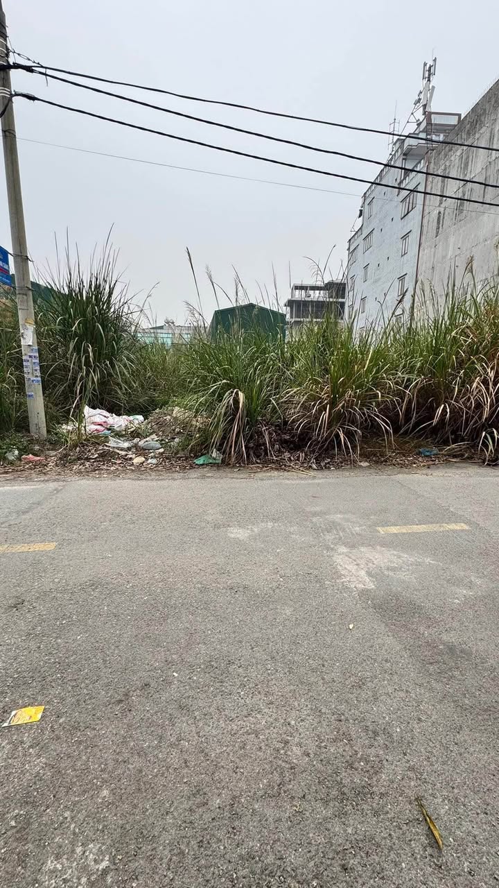 Đất nền Đồng Văn, Duy Tiên 100m² chỉ 3.9 tỷ - Đầu tư sinh lời ngay!