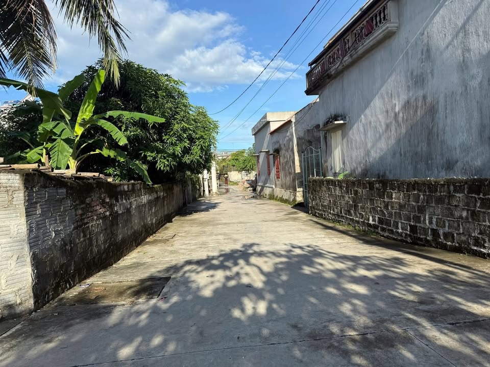 Đất nền góc 101m² tại An Lão, Bình Lục - Cơ hội đầu tư hấp dẫn!