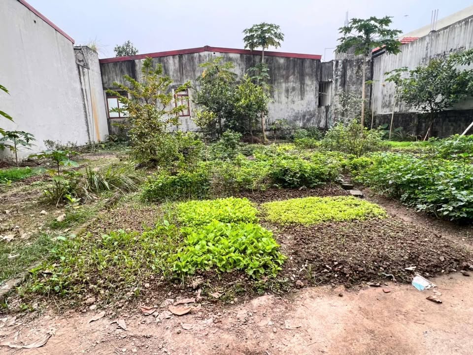 Đất nền Duy Minh 73m² giá chỉ 1.05 tỷ - Sổ đỏ chính chủ, đầu tư sinh lời!