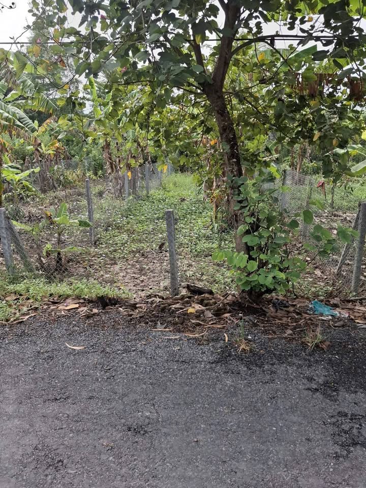 Đất nền Mỹ Trà, Cao Lãnh, 115m² giá 750 triệu - Cơ hội đầu tư hấp dẫn!