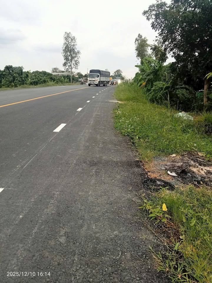 Đất nền 4.990m² tại phường Mỹ Ngãi, giá 5.199 tỷ - Tiềm năng phát triển cao!