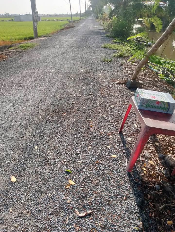 Đất nền 26.000m² tại Bình Hàng Trung, Đồng Tháp giá 6.76 tỷ - Cơ hội đầu tư hiếm có!