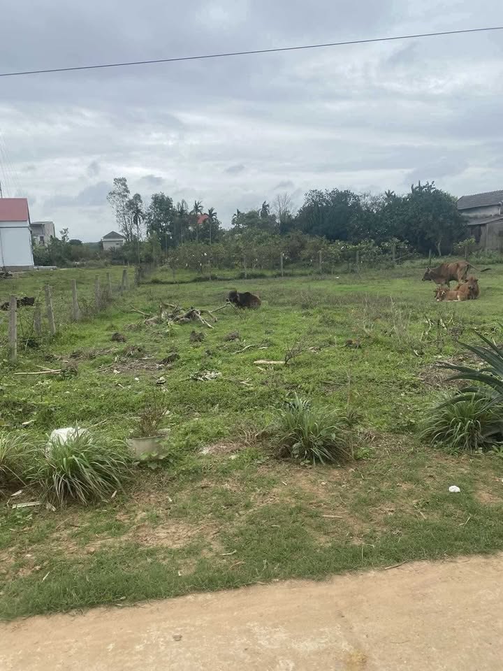 Đất nền đẹp Cam Lộ 108m² giá 4xx triệu - Đầu tư sinh lời tại cổng làng Phú Ngạn!