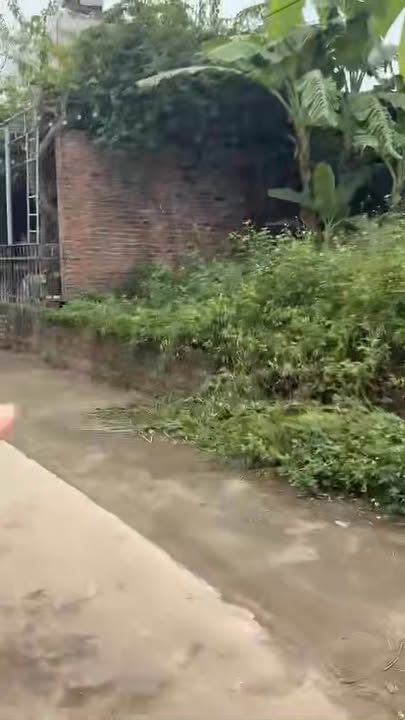 Đất thổ cư tại cổng chào Thanh Đình, Việt Trì 306m² - Đầu tư sinh lời lý tưởng!