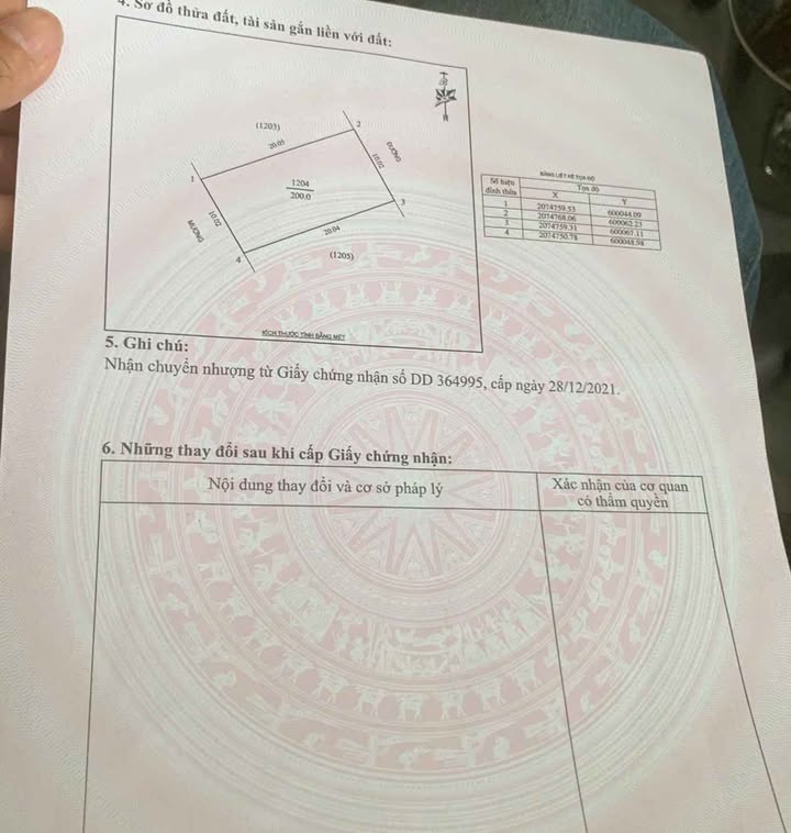 Đất Nghi Phong Vinh 200m² giá chỉ 2x triệu - Cơ hội đầu tư tuyệt vời!