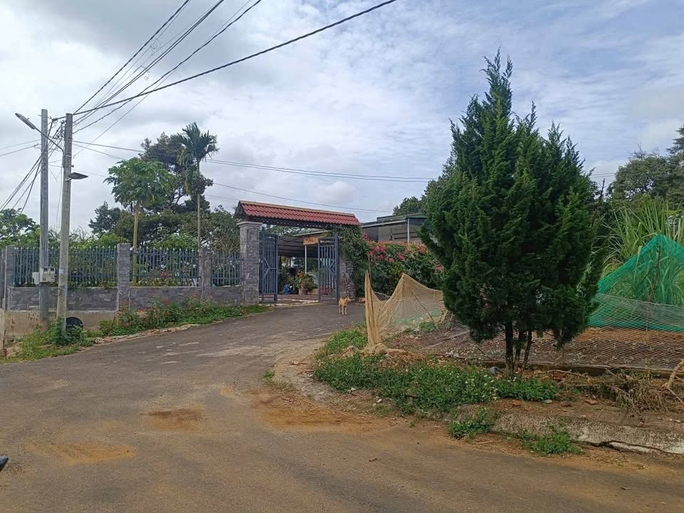 Đất thổ cư 100m² tại Bảo Lâm, Lâm Đồng - Bán lỗ chỉ 550 triệu!