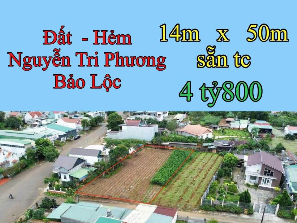 Đất Hẻm Nguyễn Tri Phương Bảo Lộc 700m² giá 4.8 tỷ - Pháp lý sẵn sàng!