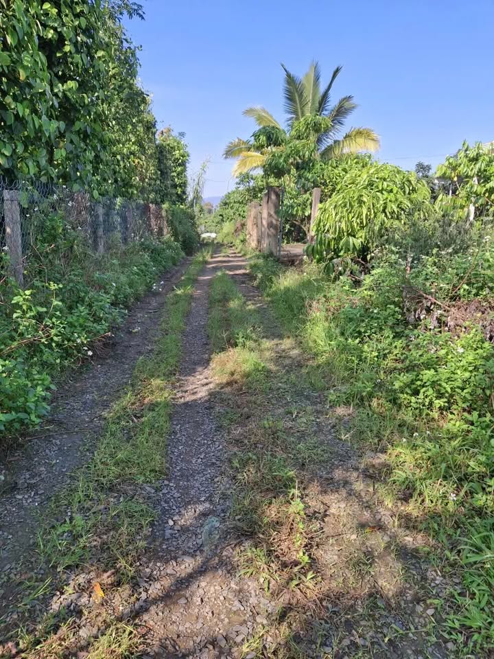 Đất thổ cư 150m² tại Thôn 1, Tân Lạc - Giá chỉ 430 triệu, sổ hồng chính chủ!