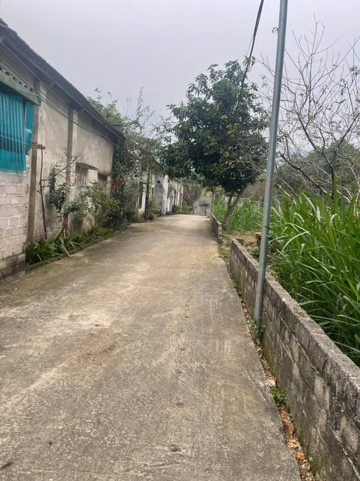 Đất nền Yên Bài, Ba Vì 360m² giá thương lượng - Đất đẹp bằng phẳng!