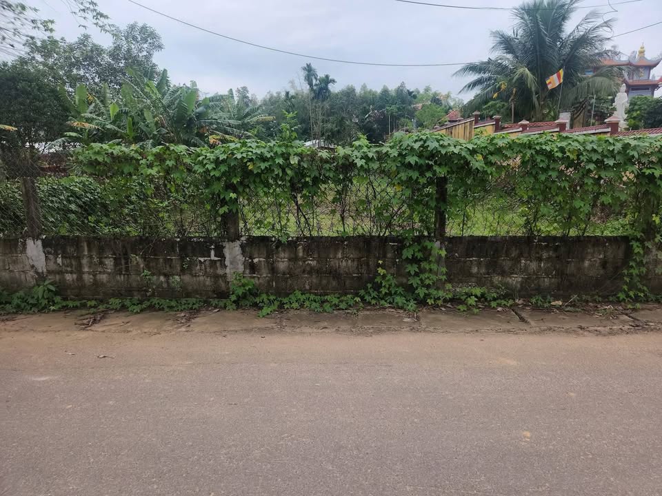 Đất ở đô thị Xuân Phú, Đà Nẵng 390m² giá 2.5 tỷ - Cơ hội đầu tư hấp dẫn!