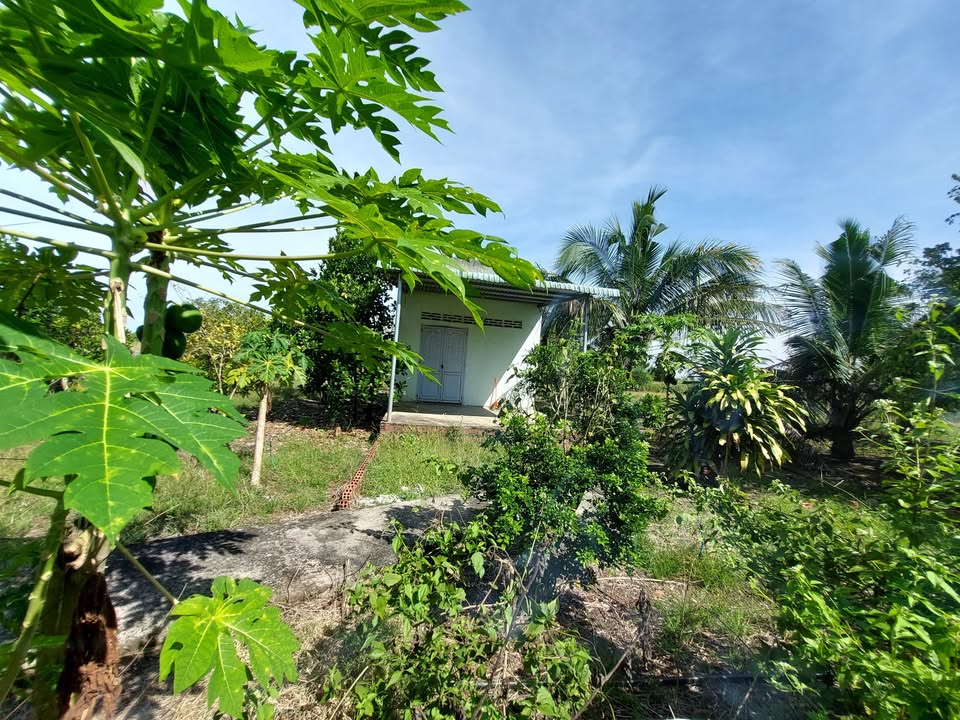 Đất nền Bảo Vinh, Long Khánh 4300m² giá 2.1 tỷ - Mặt tiền đường xe hơi