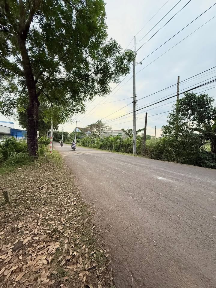 Đất nền mặt tiền đường Điểu Xiển, Long Khánh 170m² giá 1.3 tỷ - Đầu tư sinh lời ngay!