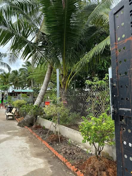 Đất vườn 2.500m² Phú Thứ - Giá 3 tỷ - Không gian xanh lý tưởng cho dịch vụ cuối tuần!