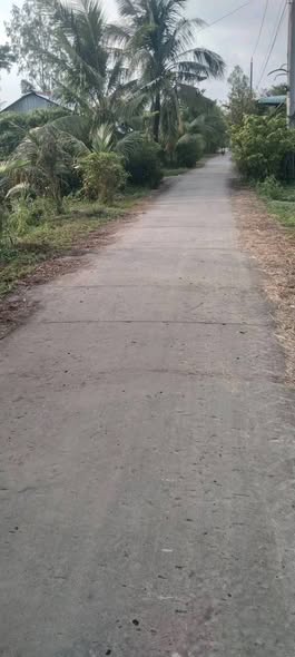 Đất nền Thới Đông, Cần Thơ 2373m² giá 1.1 tỷ - Đầu tư sinh lời tiềm năng!